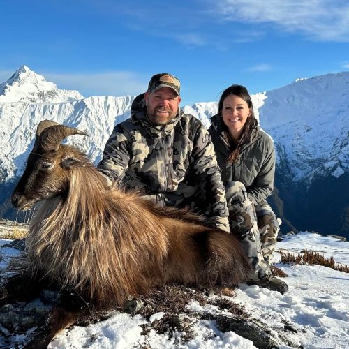 Tahr Ballots Wanaka Backcountry Helicopters